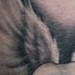 Tattoos - Fallen Angel - 3 Hours - 36654