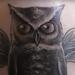 Tattoos - Owl- Cover up - 5
