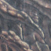 Tattoos - Bio-Organic Black and Gray  - 24677