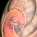 Tattoos - Phoenix Sleeve - 30647