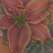 Tattoos - Stargazer Lillies - 3 Hours - 41257