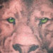 Tattoos - Lion with Crown - 2 Hours - 29304