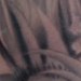 Tattoos - Phoenix Only! - 27858