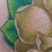 Tattoos - Magnolias - 3.5 inches -1.5 Hours - 39629