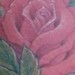 Tattoos - Cross Stitch Rose - 8 inches - 2 Hours - 39785