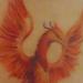Tattoos - Phoenix - 7.5