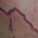 Tattoos - Texas Made - 2 Hours - 41241