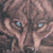 Tattoos - Wolf in the Woods - 11