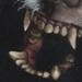 Tattoos - Wolfman - 8