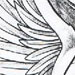 Tattoos - Angelic Creature - 24901
