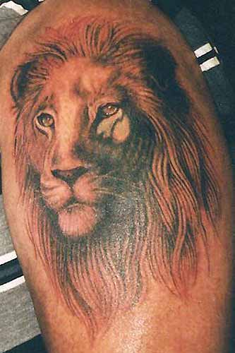 Tattoo Ideas Quotes on lion tatoos 