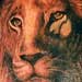 tattoo galleries/ - Lion Cover-up - 33814