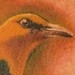 tattoos/ - Bird Tattoo - 50308