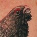 tattoos/ - Turkey Tattoo - 50309