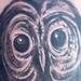 tattoo galleries/ - Black & Grey Owl Tattoo - 62032