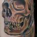 Tattoos - Aviation Skull - 70731