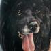 Tattoos - Black Wolf - 74119