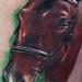 Tattoos - Horsin' Around - 70385