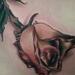 Dying Rose Tattoo Design Thumbnail