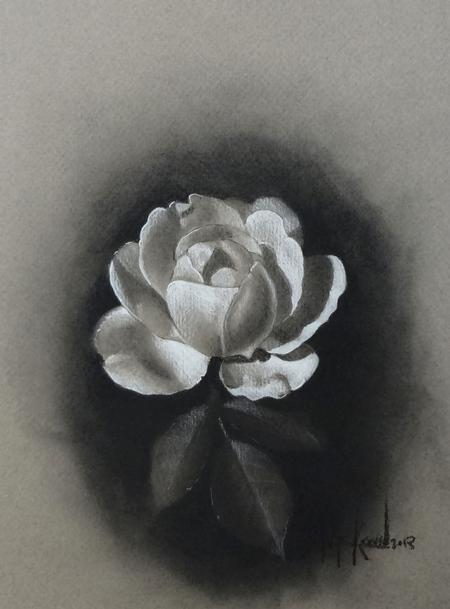 Ian Robert McKown - White rose on paper