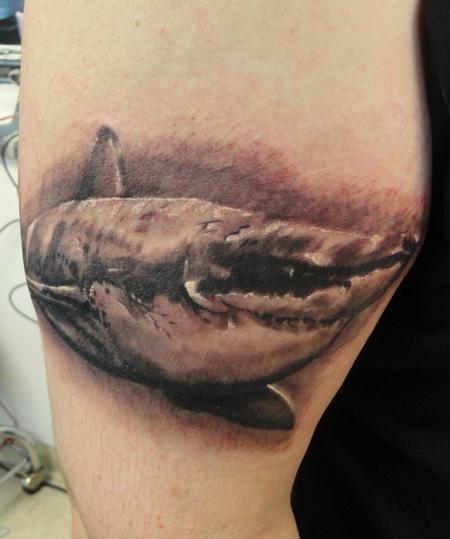 Tattoos - shark underwater tattoo black and grey ian mckown - 68521
