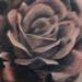 Rose Tattoo Tattoo Design Thumbnail