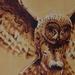 untitled Original Art Design Thumbnail