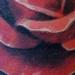 Tattoos - untitled - 63262