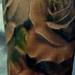 Tattoos - untitled - 62945