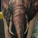 Tattoos - untitled - 62940