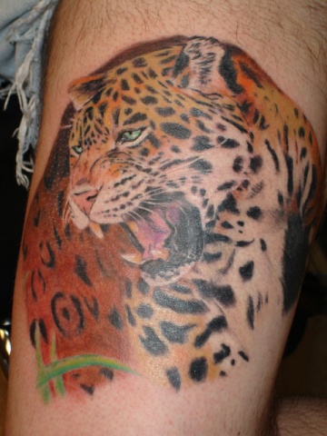 Jaguar on Tattoos   Blaze Schwaller   Page 15   Jaguar