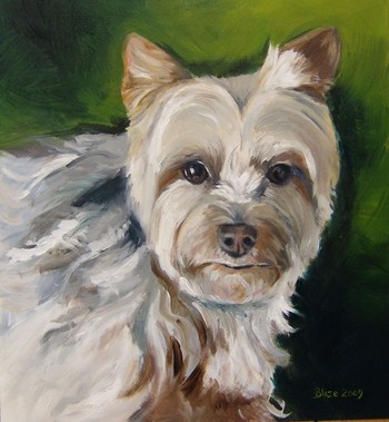 Art Galleries - Blaze Schwaller - Buttons - portrait of a Yorkie