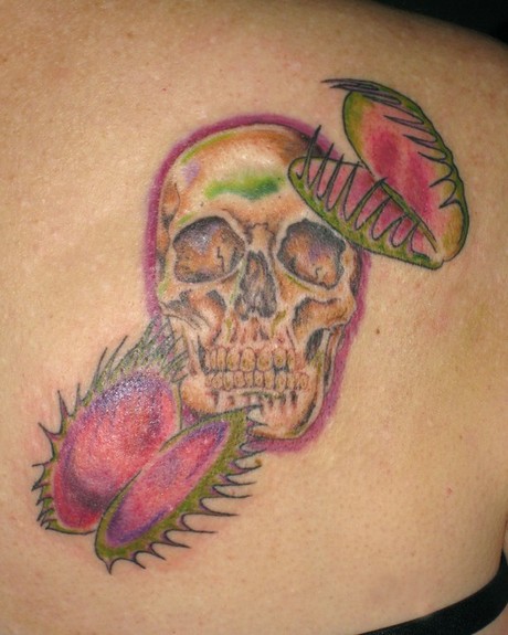 Tattoos Skull tattoos Pretty Skull and Venus flytraps