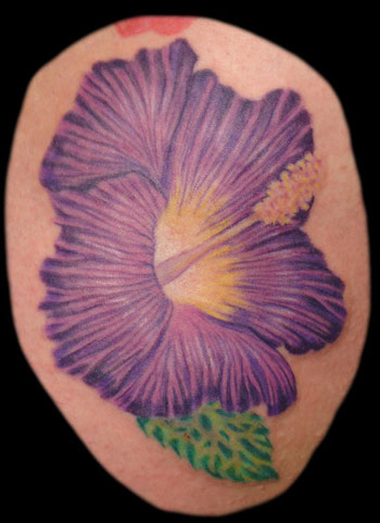 Purple hibiscus flower an addition to the hibiscus tattoo that will span