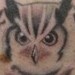 tattoo galleries/ - Great Horned Owl - 49832
