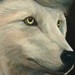 tattoo galleries/ - Trump Wolf - 49597