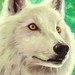 tattoo galleries/ - Wolf oil painting - 46307