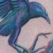 tattoo galleries/ - Color crow tattoo