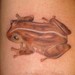 tattoo galleries/ - Frog - 40214