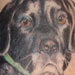 tattoo galleries/ - Pet portrait totem-pole style