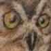 tattoo galleries/ - Rework of olf owl tattoo