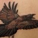 tattoo galleries/ - 