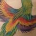 tattoo galleries/ - Phoenix tattoo on ribs - 53934