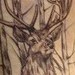 tattoo galleries/ -  - 41177