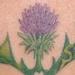 tattoo galleries/ - Thistle tattoo with initials in leaves