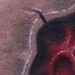 tattoo galleries/ - The wound that never heals - 51803