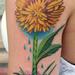 tattoos/ - Full Color Dandelion - 57445