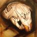 beaver mug Art Thumbnail