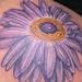 tattoo galleries/ - gerber daisy tattoo - 61180