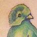 tattoo galleries/ - quetzal - 59985
